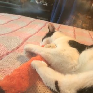 Meet your Posher, Lillian